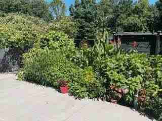 118 Tarpon Trl Se - Photo 4 of 6