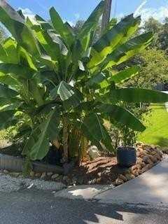 118 Tarpon Trl Se - Photo 5 of 6