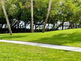 1328 Pasadena Ave S #104 - Photo 1 of 1