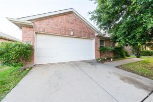 featured image of 1412 Morning Dove