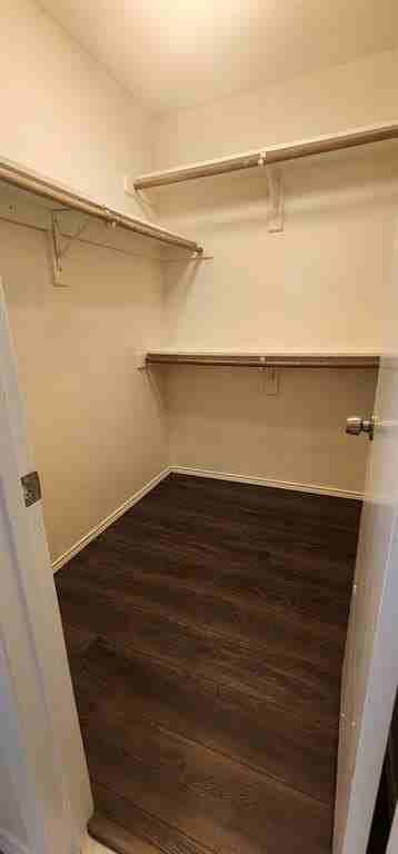 2356 Licorice Pl - Photo 7 of 11