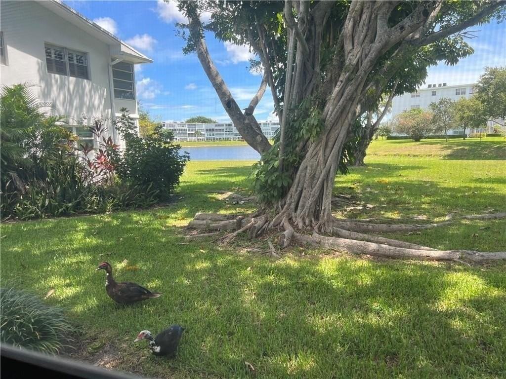 321 Newport V Unit 321 - Photo 6 of 20