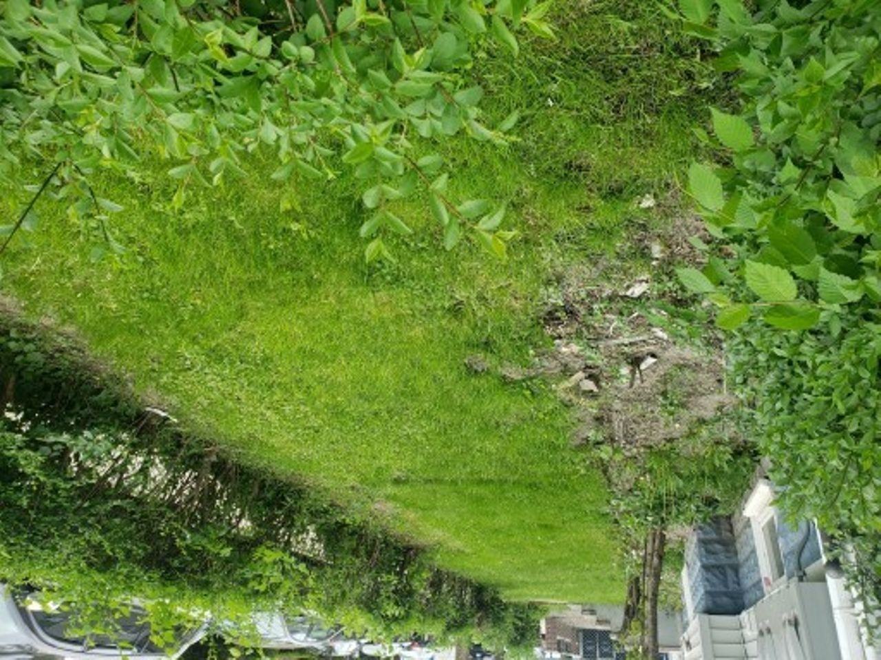 80 Grant St #3 - Photo 2 of 10