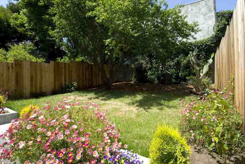 1146 Fell St - Photo 5 of 5