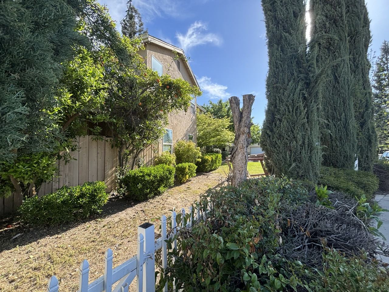 4101 Rose Parade - Photo 7 of 14