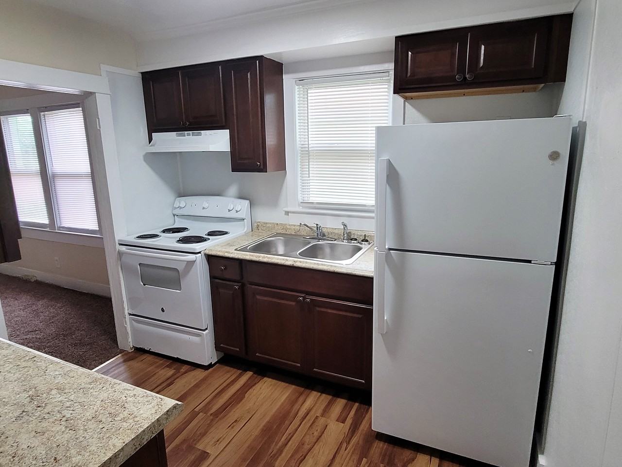 829 S Division St - Photo 5 of 13