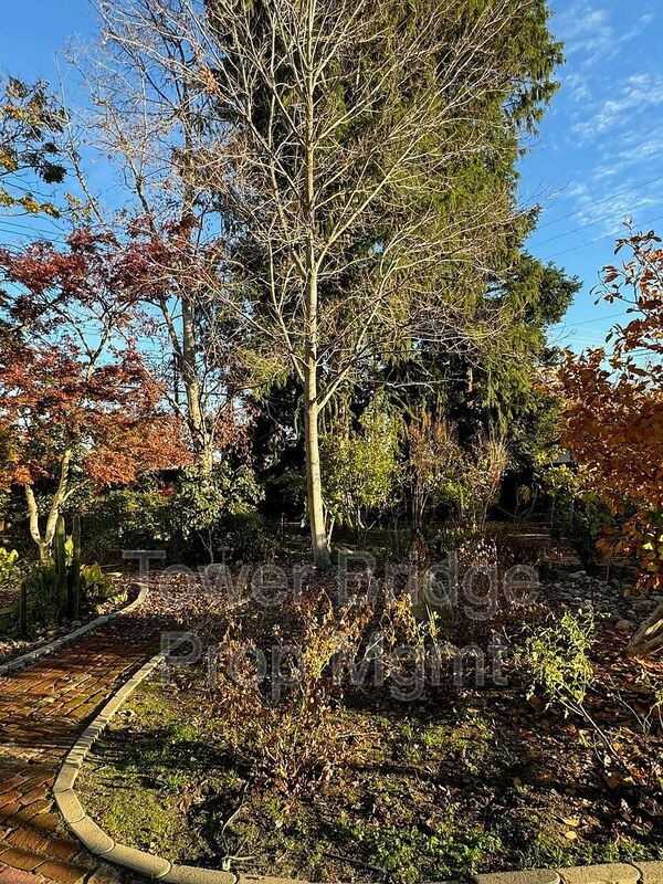 3154 53rd St #MAIN - Photo 2 of 43