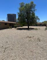 3701 N 9th Pl #6 - Photo 1 of 1