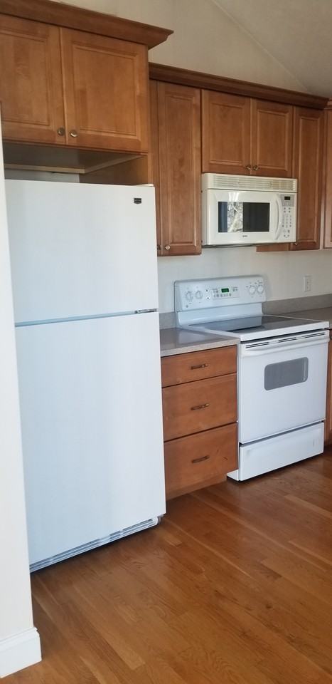 14 Forest Ave #2 - Photo 2 of 14