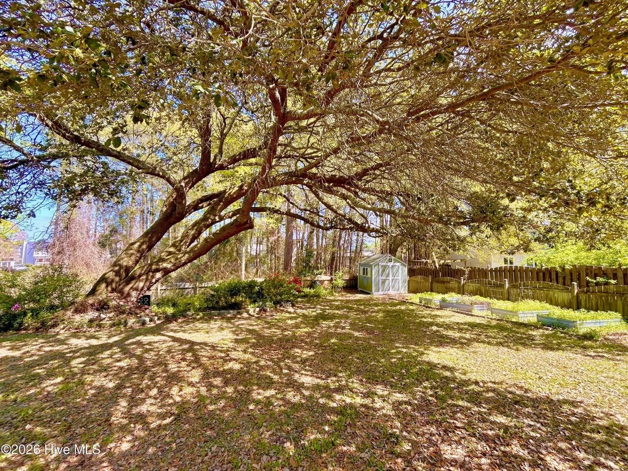 1006 Meridian Dr - Photo 5 of 50