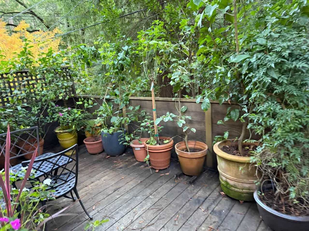 522 Cascade Dr #1462593P - Photo 2 of 34