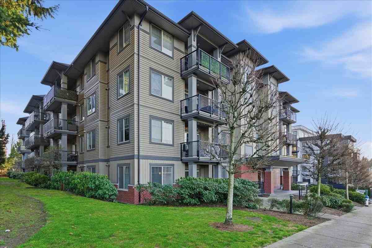 33898 Pine Street #411