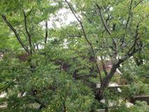 2605 S Indiana Ave #301 - Photo 1 of 1