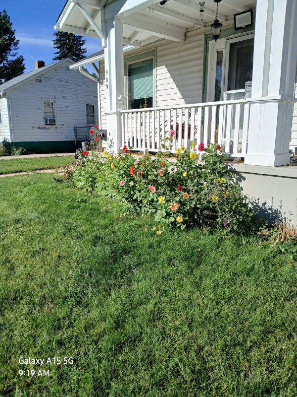 909 Collyer St - Photo 2 of 13