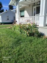 909 Collyer St - Photo 1 of 1