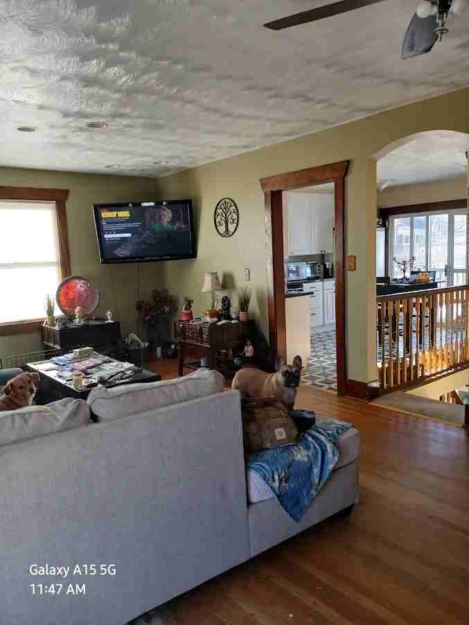 909 Collyer St - Photo 4 of 13