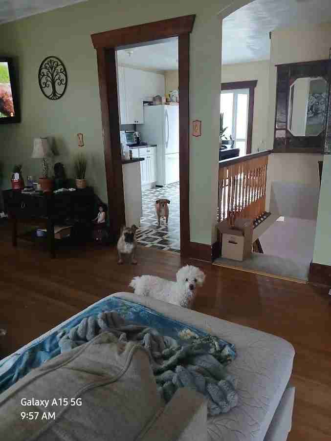 909 Collyer St - Photo 5 of 13