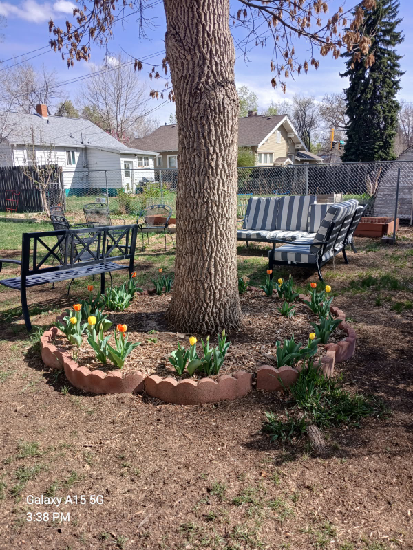 909 Collyer St - Photo 2 of 2