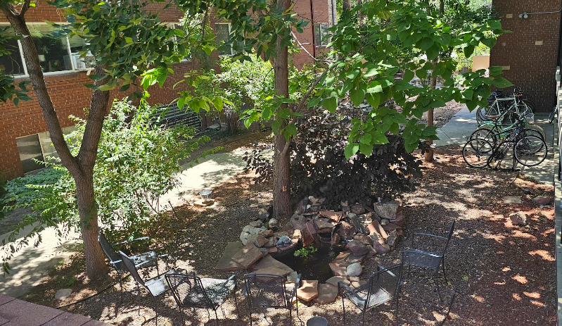 1170 N Ogden St #401 - Photo 2 of 16