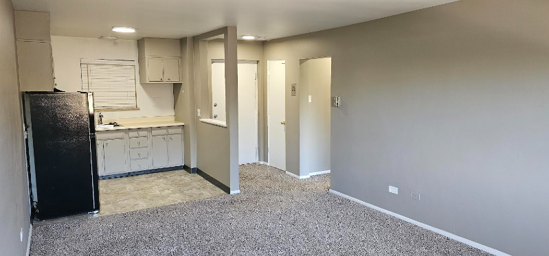 1170 N Ogden St #401 - Photo 4 of 16