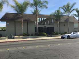 GOLDEN - Photo 1 of 1