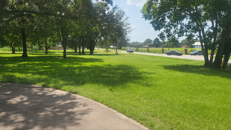 317 Owens Rd - Photo 3 of 15