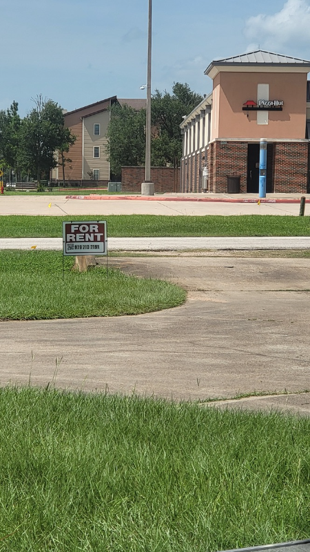 317 Owens Rd - Photo 4 of 15