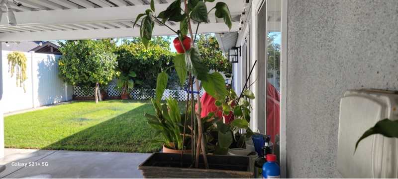 9621 Telhan Dr - Photo 2 of 29