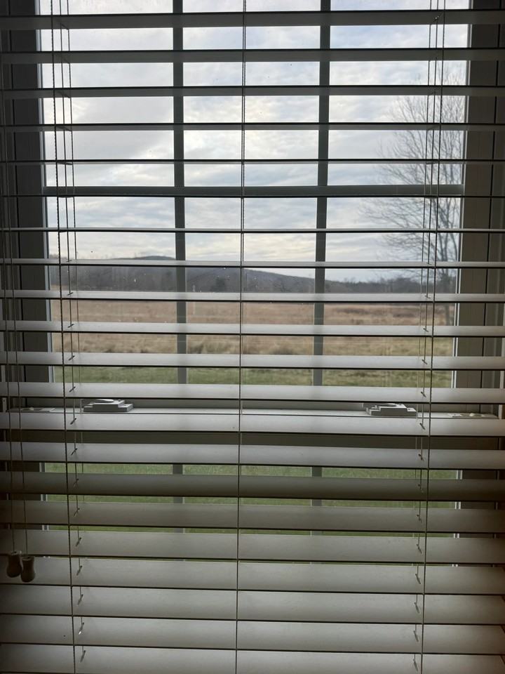 150 Lighthouse Ln Apt C #C - Photo 6 of 10