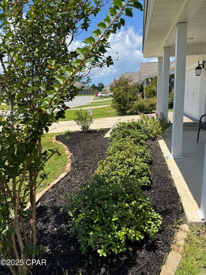 149 Merrion Rd - Photo 5 of 50