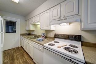 Stone Ridge Apartments - Photo 1 of 1