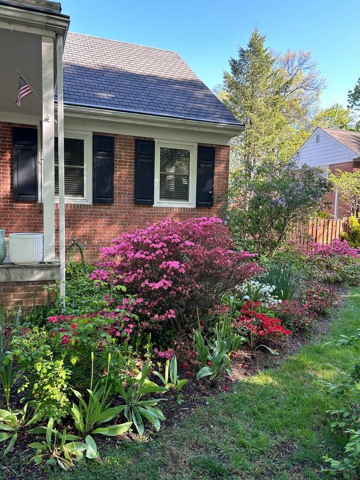 1409 Dauphin Ave - Photo 5 of 50