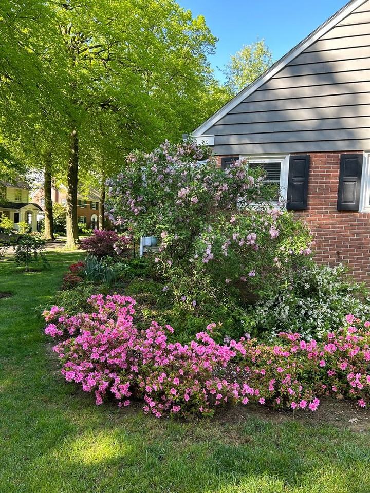 1409 Dauphin Ave - Photo 6 of 50