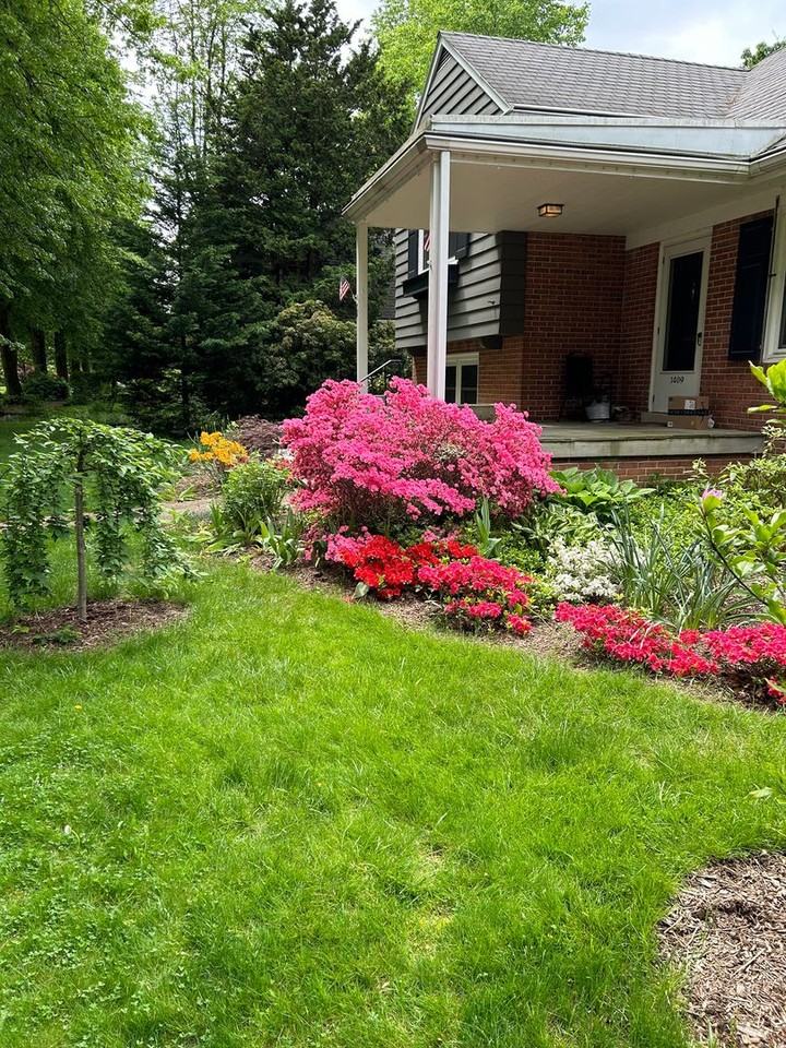 1409 Dauphin Ave - Photo 7 of 50