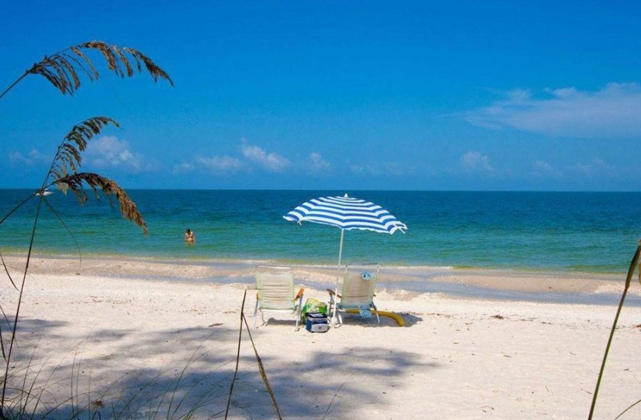 3355 Timberwood Cir - Photo 2 of 50