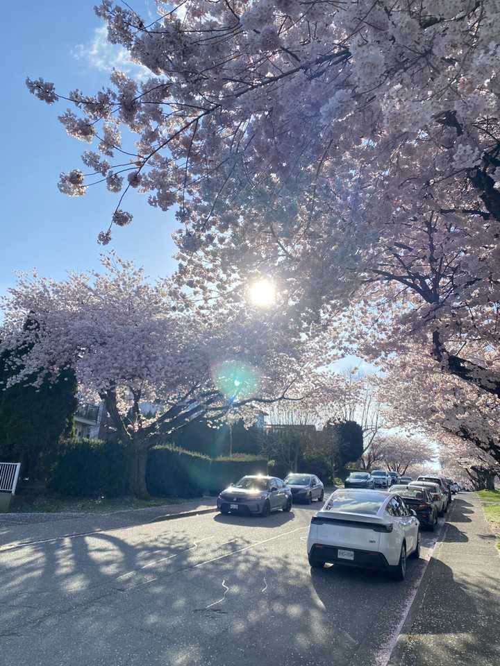 Dickens St - Photo 7 of 12