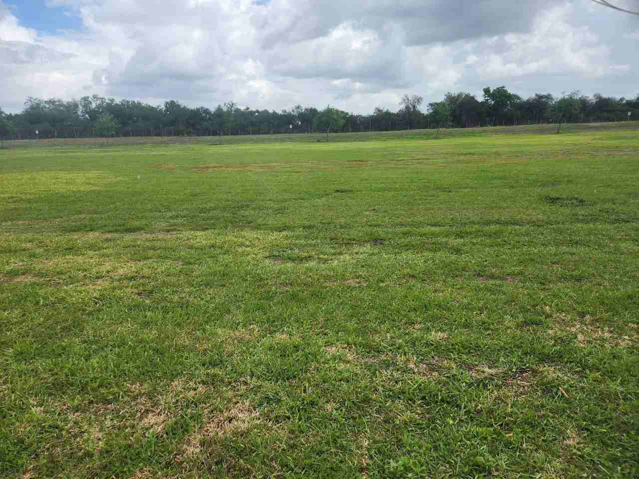 3943 Honolulu Dr - Photo 5 of 15