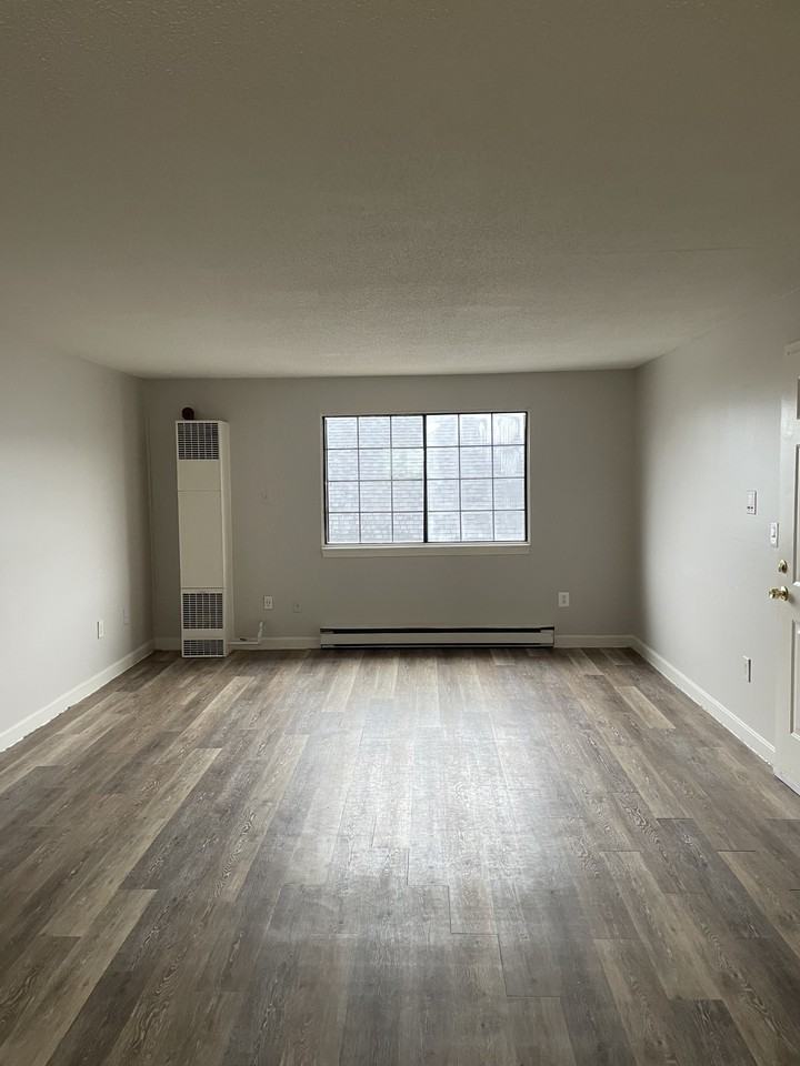 236 Green St Apt 5 #236-5 - Photo 4 of 10