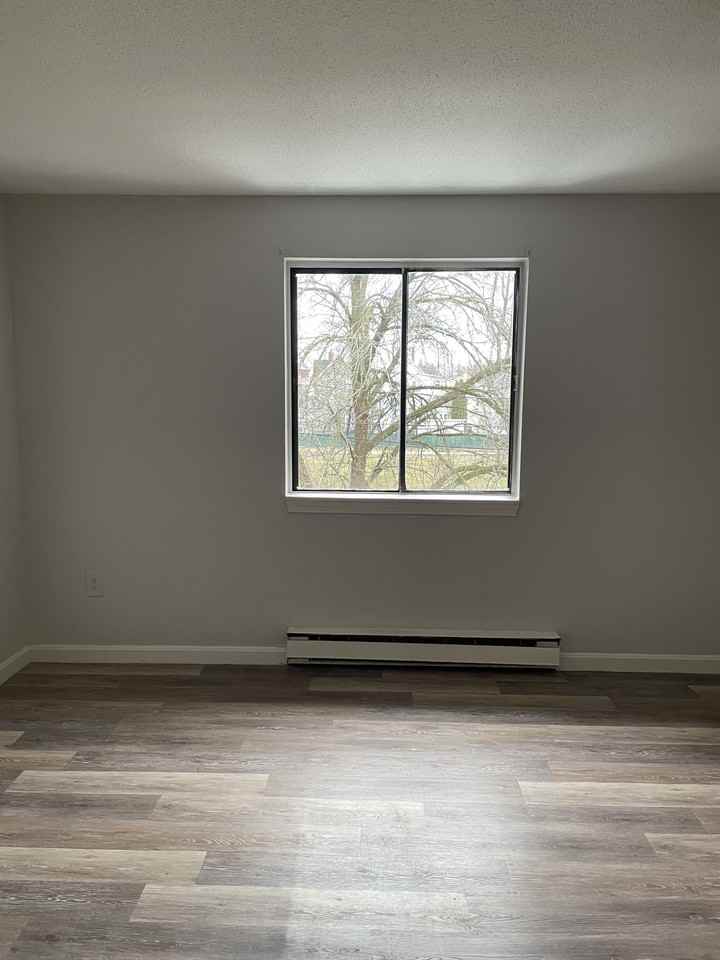 236 Green St Apt 5 #236-5 - Photo 6 of 10