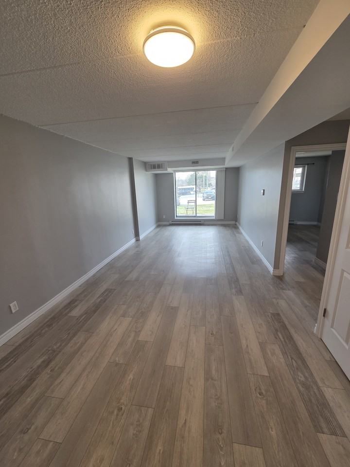 251 Erb St W #1 - Photo 5 of 16