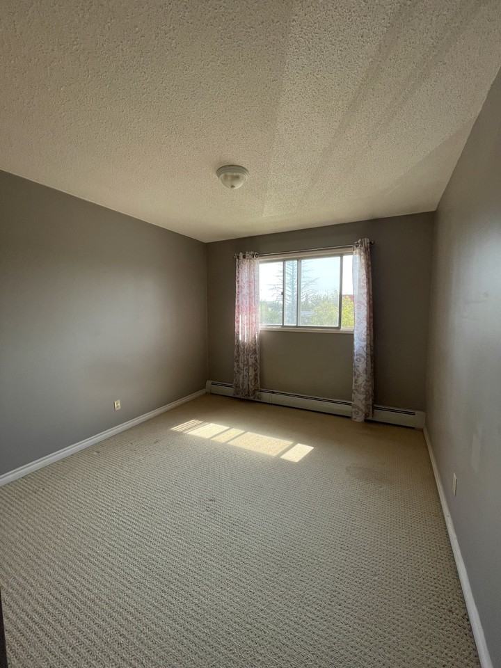 Viking Apartments - Photo 5 of 9