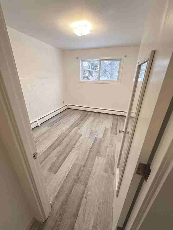 2929 Unwin - Photo 6 of 23