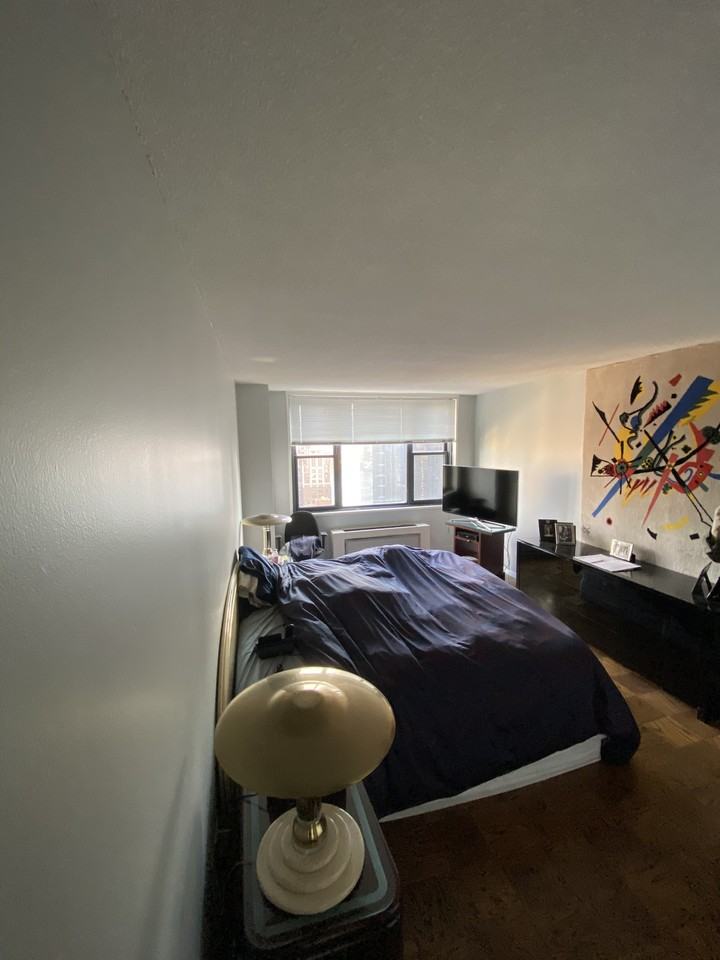 245 East 40th Street #30C - Photo 2 of 8