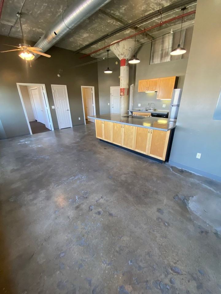 Mitchell Park Plaza Apartment - Photo 5 of 16