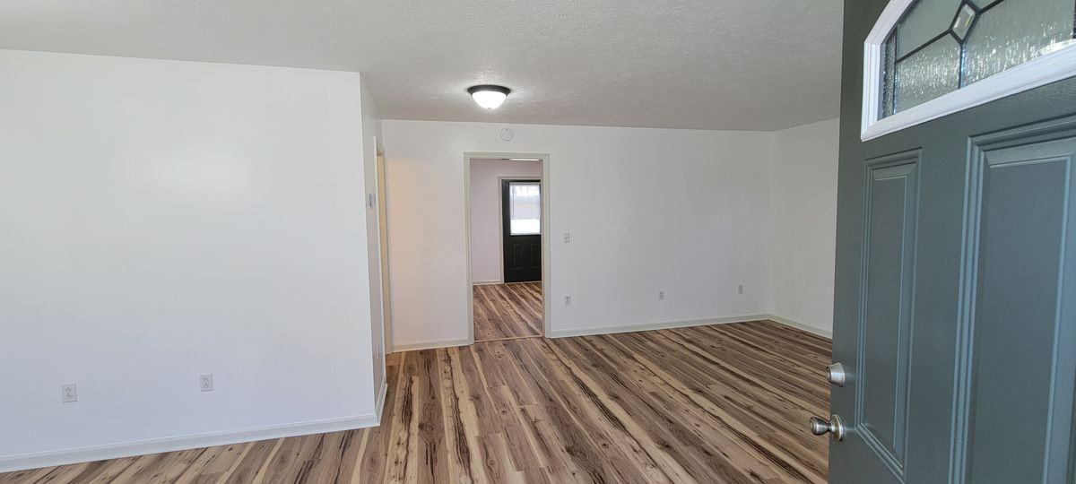 335 County Road 262 - Photo 6 of 15