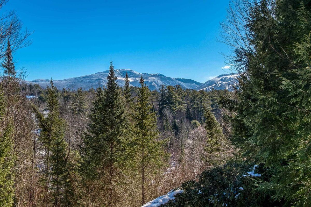 36 Hoffmans Dr - Photo 6 of 23