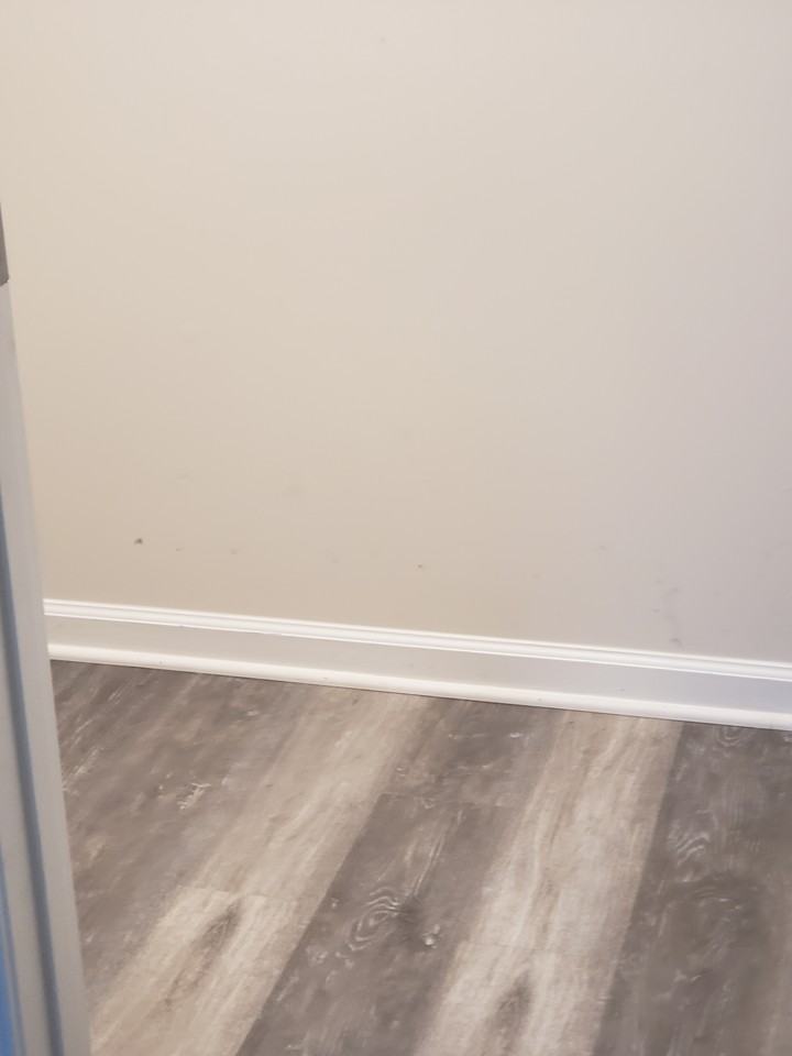 3012 Wind Whisper Way - Photo 2 of 14