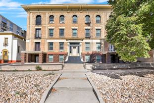 Swallow - Photo 1 of 1