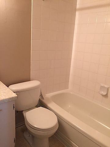 2519 17 Street Southwest - Photo 5 of 9