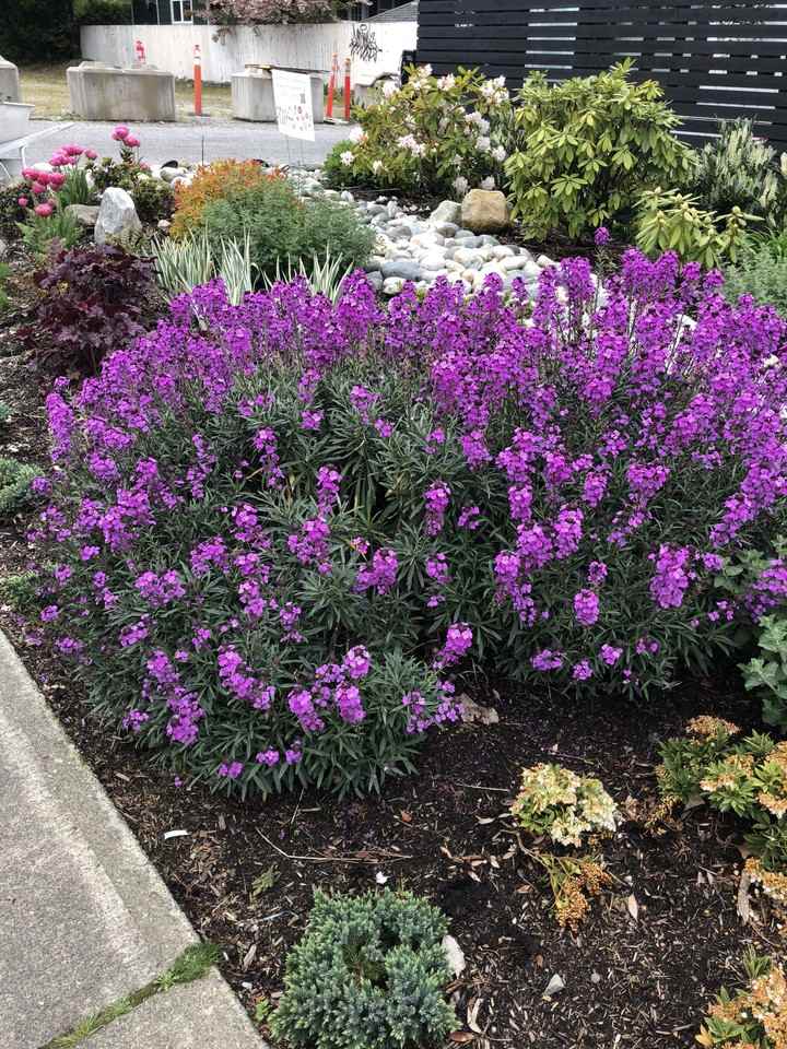 W 14th Ave & Arbutus St - Photo 4 of 29